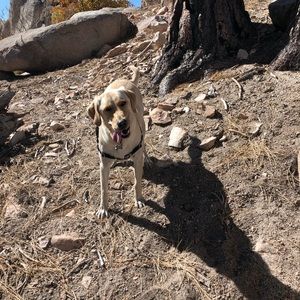 Meet your Posher, Lisa